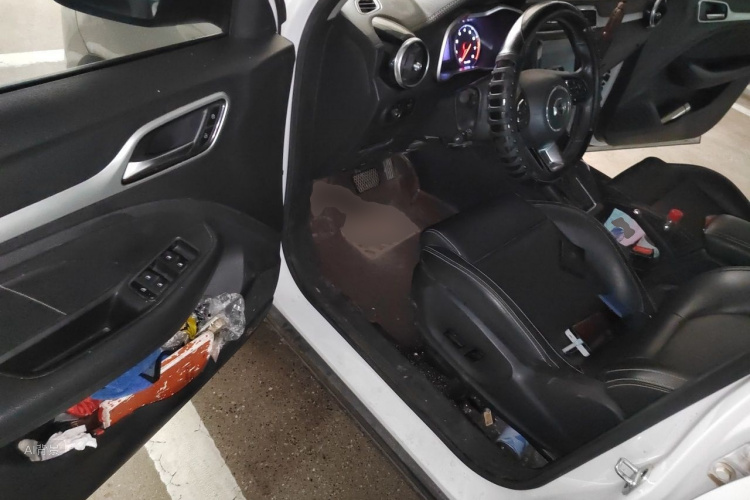MG ZS 2018 #18 MG ZS 2018 car image #18