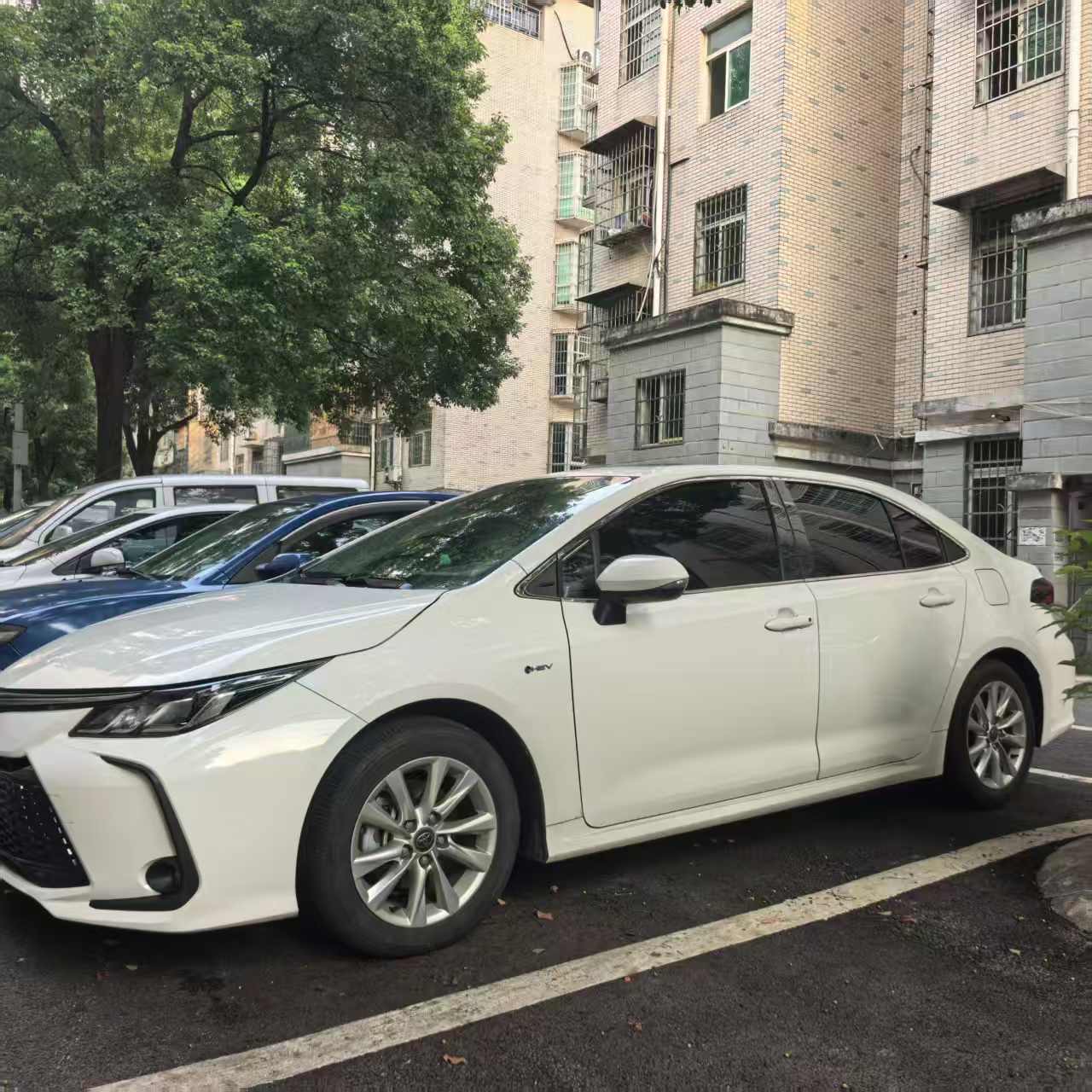 Toyota Corolla 2025 Toyota Corolla 2025 car image