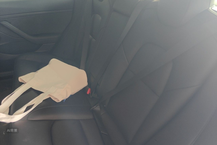 Tesla Model 3 2021 car image #19
