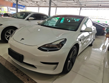 Tesla Model 3 2022 Tesla Model 3 2022 immagine di auto