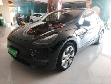 Tesla Model Y 2021 Tesla Model Y 2021 car image