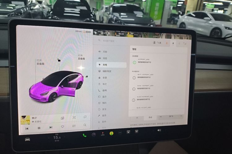 Tesla Model 3 2021 #13 Tesla Model 3 2021 immagine di auto #13