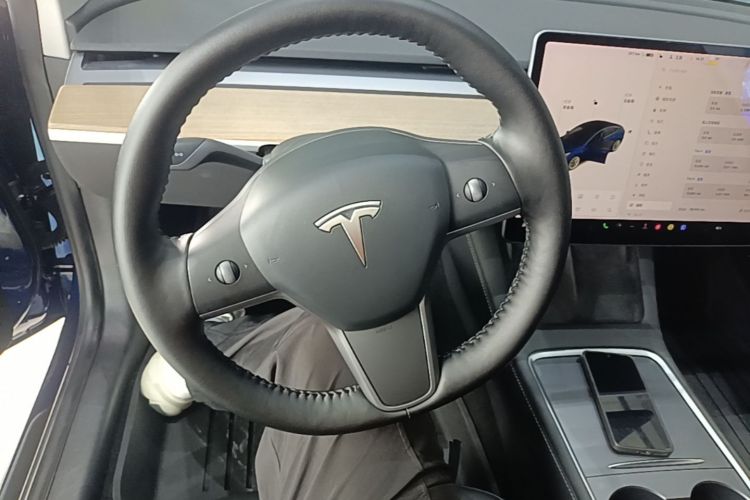 Tesla Model 3 2021 #11 Tesla Model 3 2021 car image #11