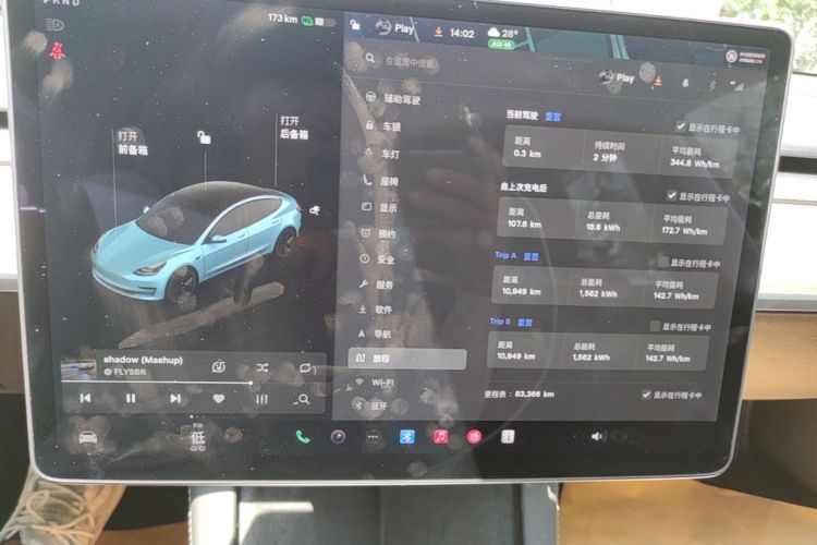 Tesla Model 3 2021 car image #12