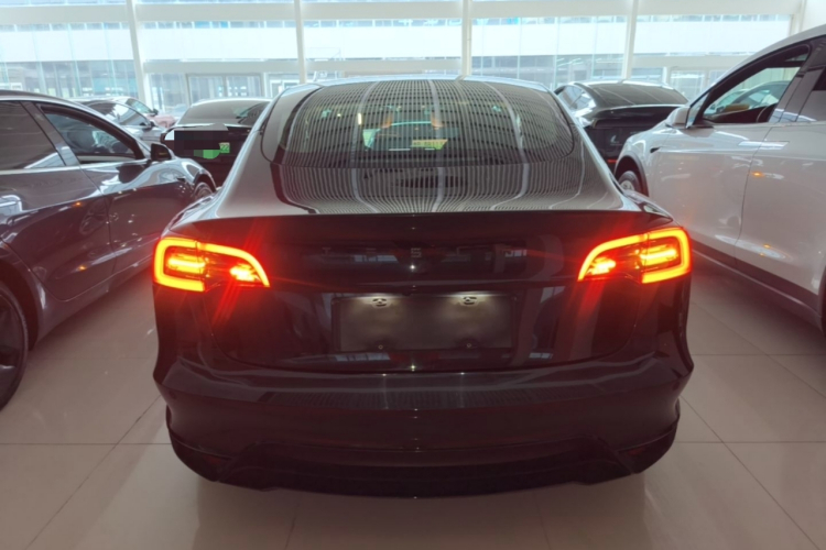 Tesla Model 3 2021 #6 Tesla Model 3 2021 car image #6