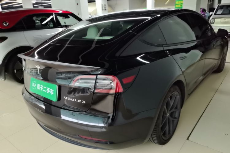 Tesla Model 3 2022 car image #7