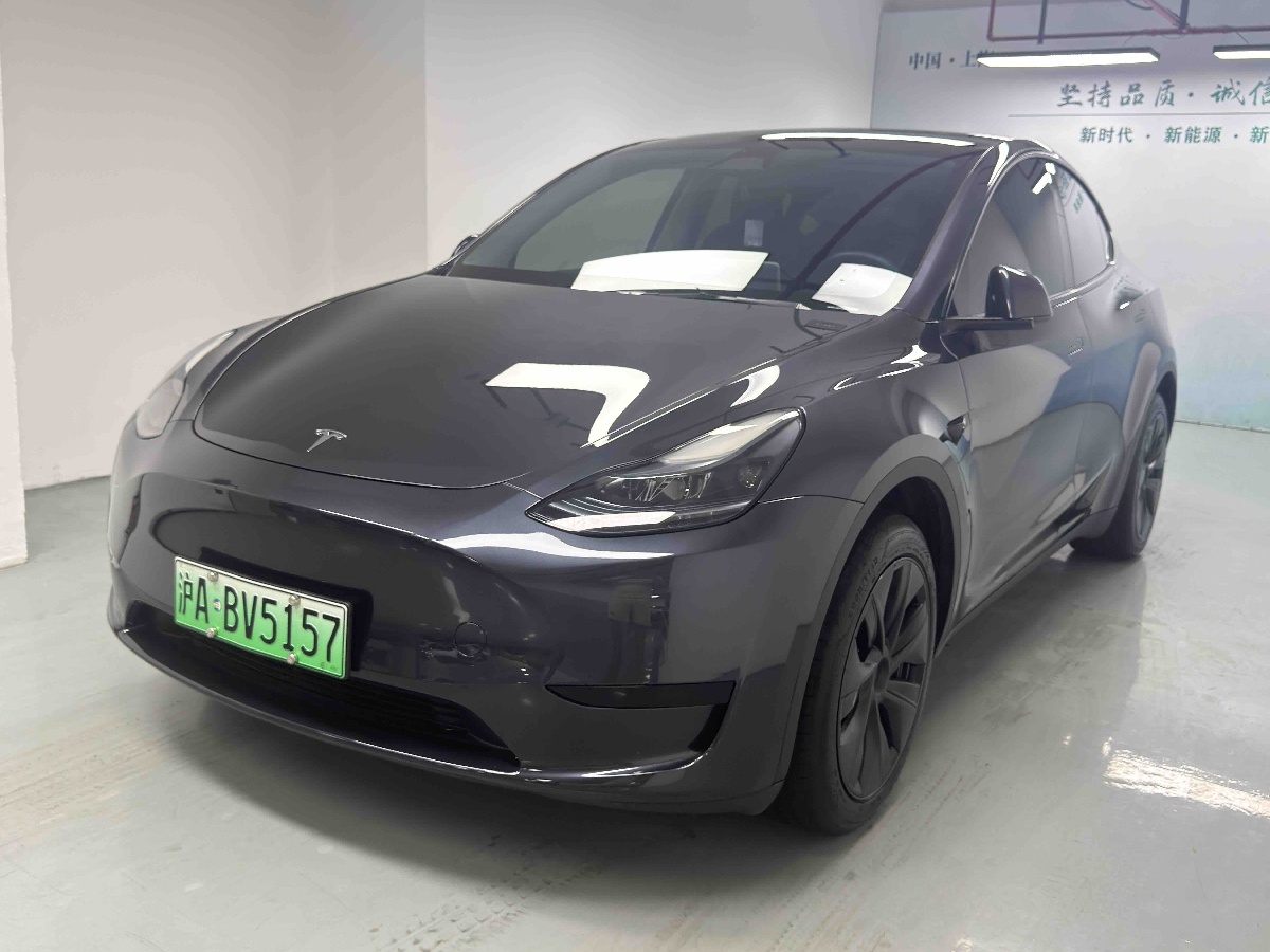 Tesla Model Y 2025 car image 