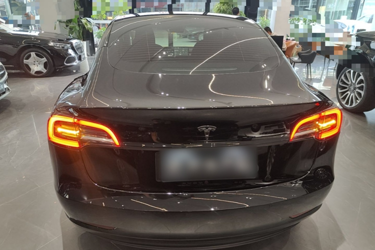 Tesla Model 3 2023 car image #6