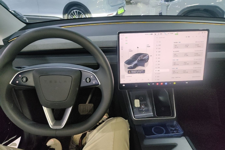 Tesla Model Y 2025 car image #10