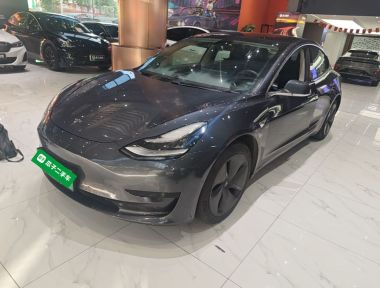 Tesla Model 3 2020 Tesla Model 3 2020 car image