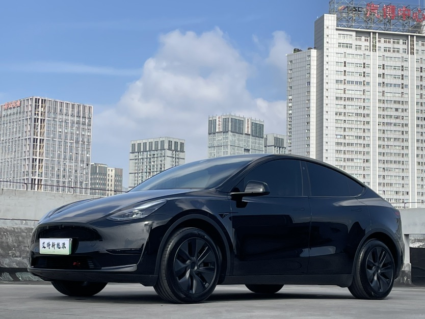 Tesla Model Y 2023 Tesla Model Y 2023 car image