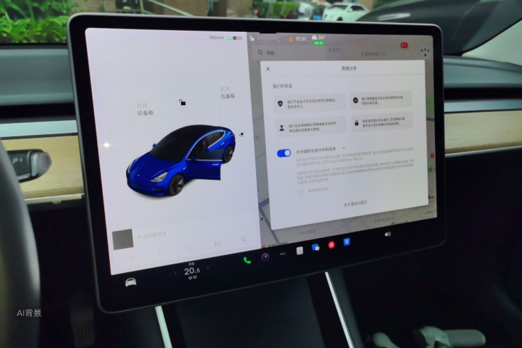 Tesla Model 3 2020 car image #13