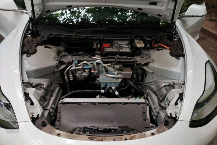 Tesla Model 3 2020 immagine di auto #22