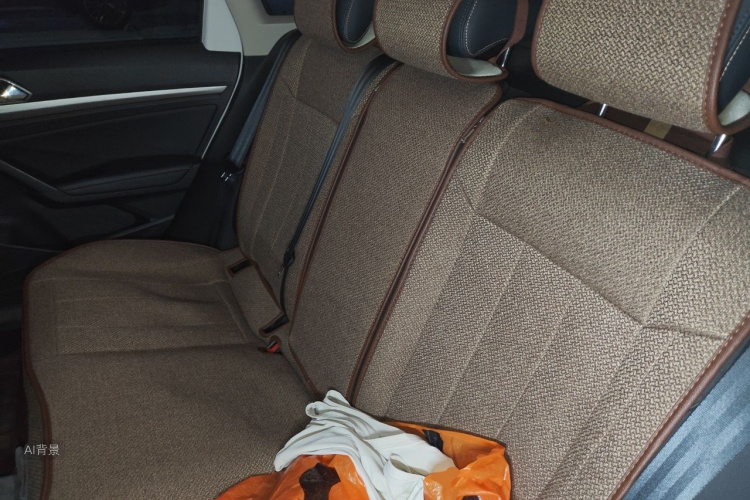 Volkswagen Lavida 2021 car image #19