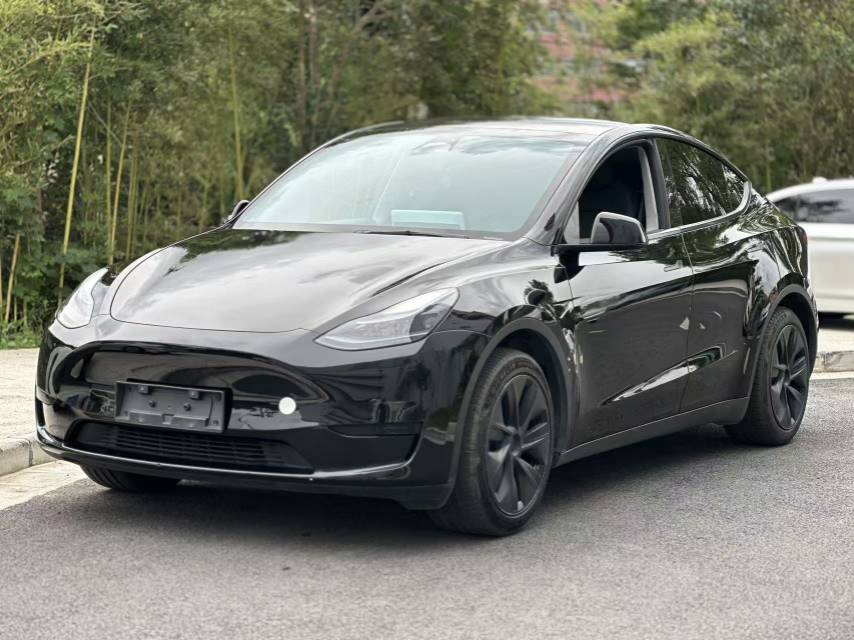 Tesla Model Y 2023 car image 