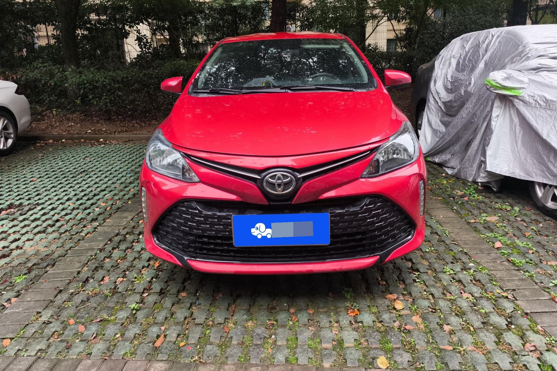 Toyota Vios FS 2017 car image #6