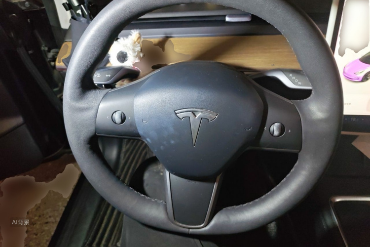 Tesla Model 3 2021 #12 Tesla Model 3 2021 car image #12