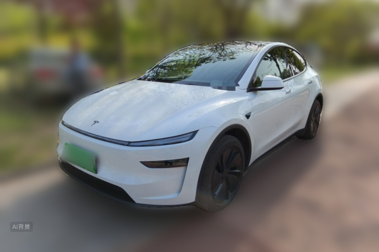 Tesla Model Y 2025 car image #2