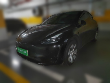 Tesla Model Y 2023 Tesla Model Y 2023 car image