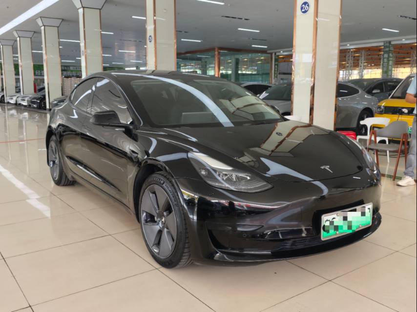 Tesla Model 3 2023 #3 Tesla Model 3 2023 car image #3