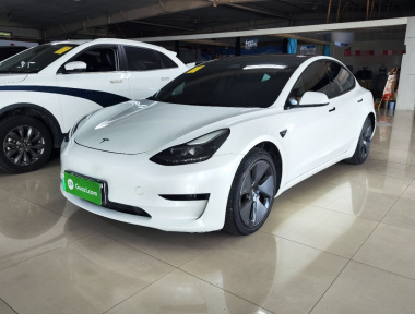 Tesla Model 3 2021 Tesla Model 3 2021 car image