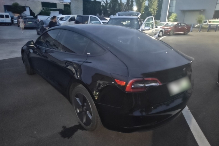 Tesla Model 3 2021 #5 Tesla Model 3 2021 car image #5