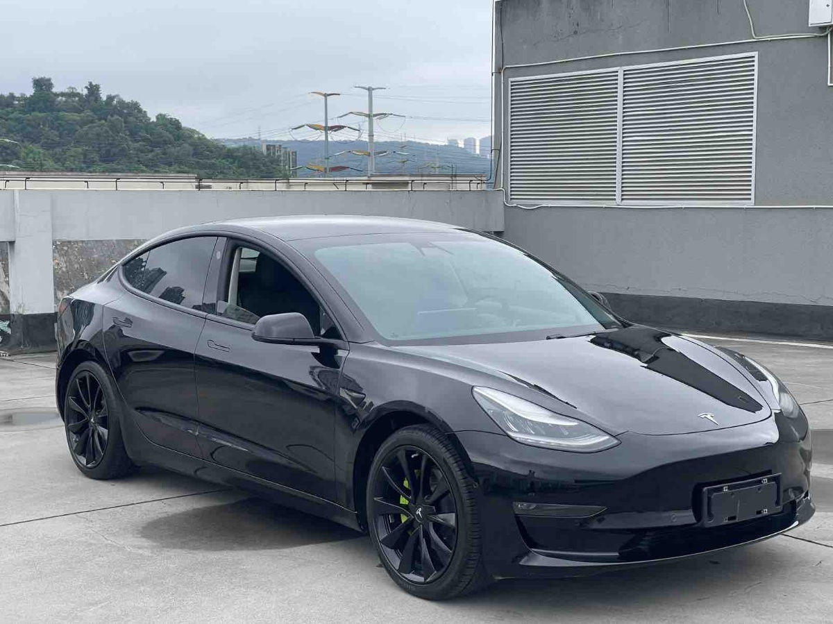 Tesla Model 3 2020 car image #2