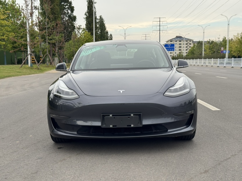 Tesla Model 3 2020 car image #2