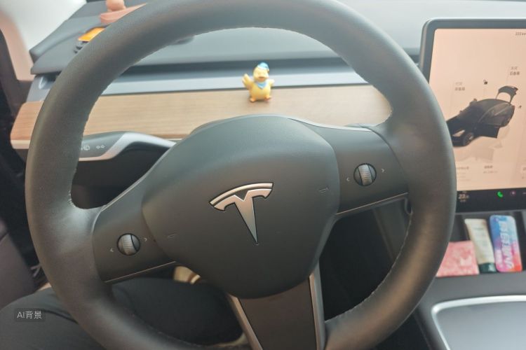 Tesla Model 3 2022 #13 Tesla Model 3 2022 car image #13
