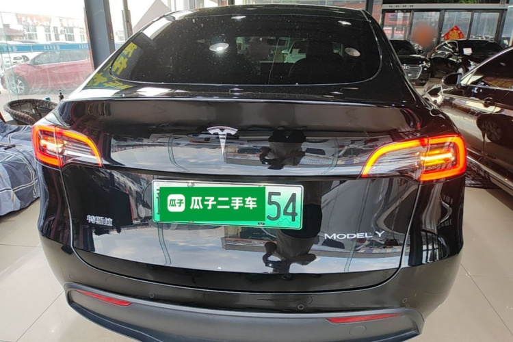 Tesla Model Y 2021 immagine di auto #6