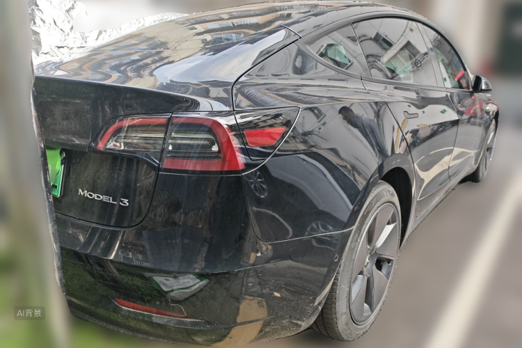 Tesla Model 3 2023 car image #7