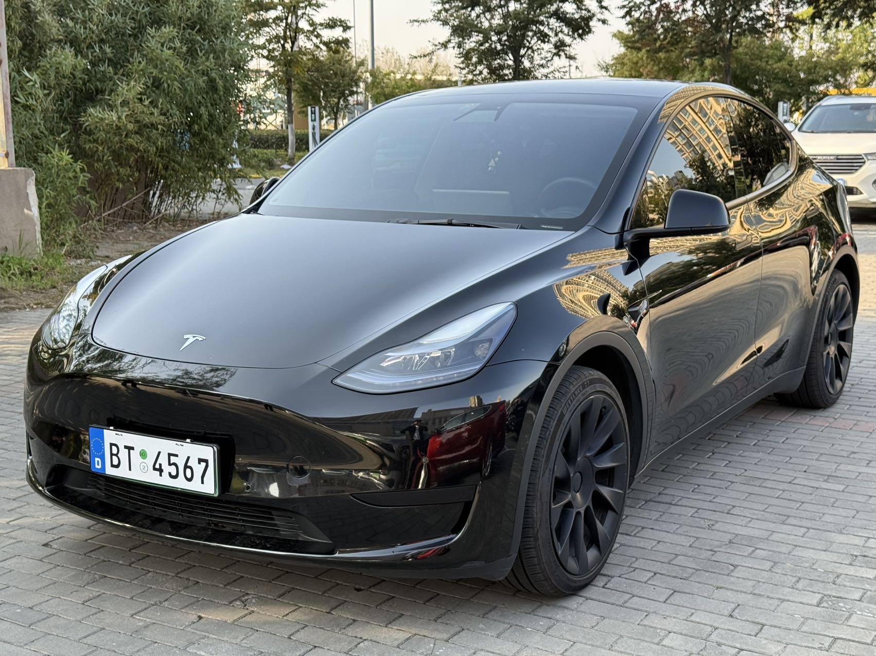 Tesla Model Y 2022 car image 