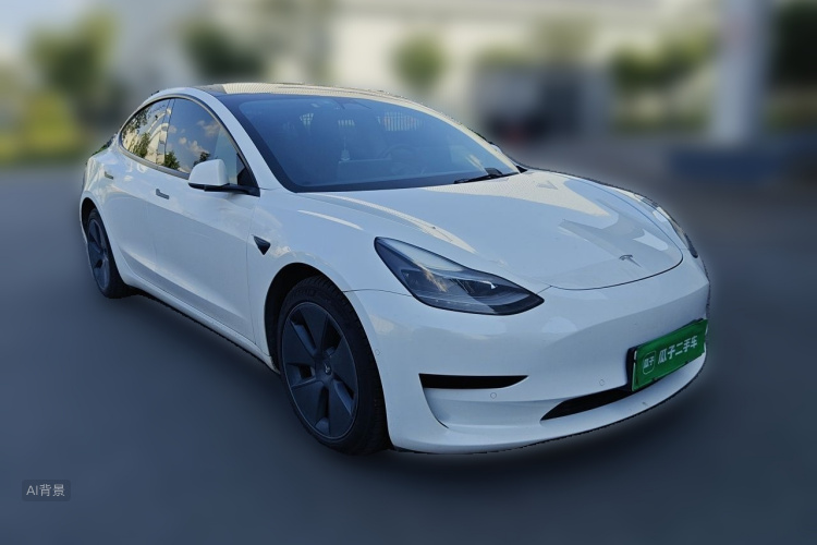 Tesla Model 3 2021 car image #4