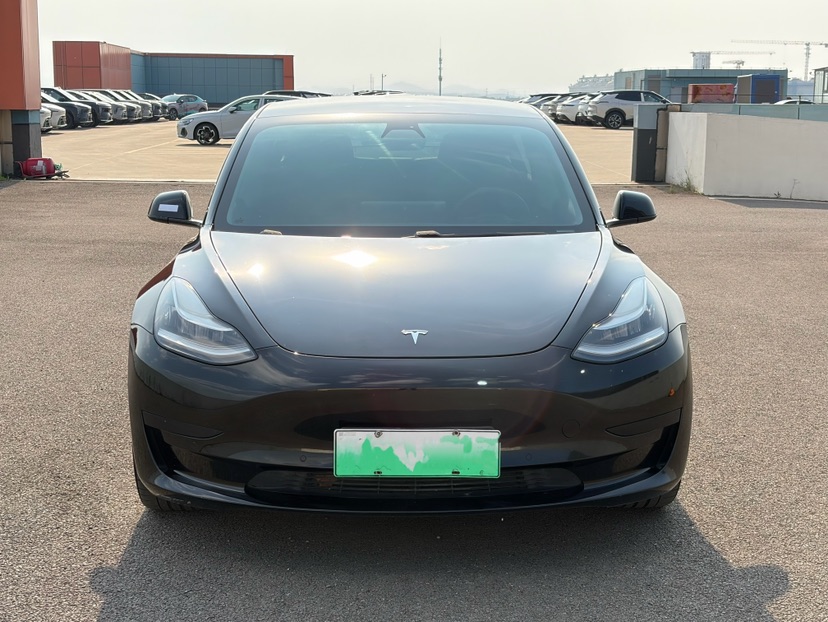 Tesla Model 3 2020 #2 Tesla Model 3 2020 car image #2