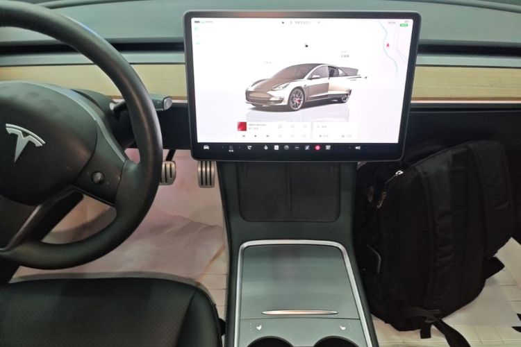 Tesla Model 3 2022 car image #13