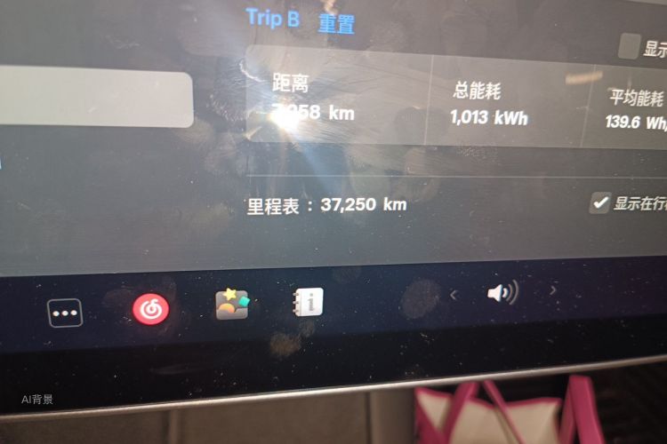 Tesla Model 3 2021 car image #14