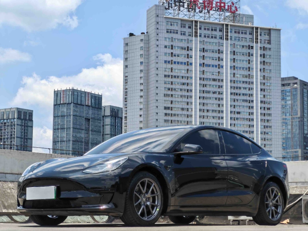 Tesla Model 3 2022 car image 