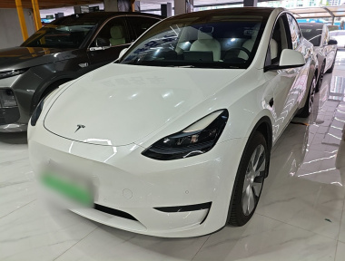 Tesla Model Y 2023 Tesla Model Y 2023 car image