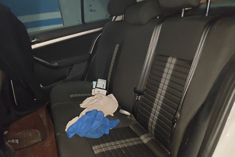 Volkswagen Lavida 2020 car image #19