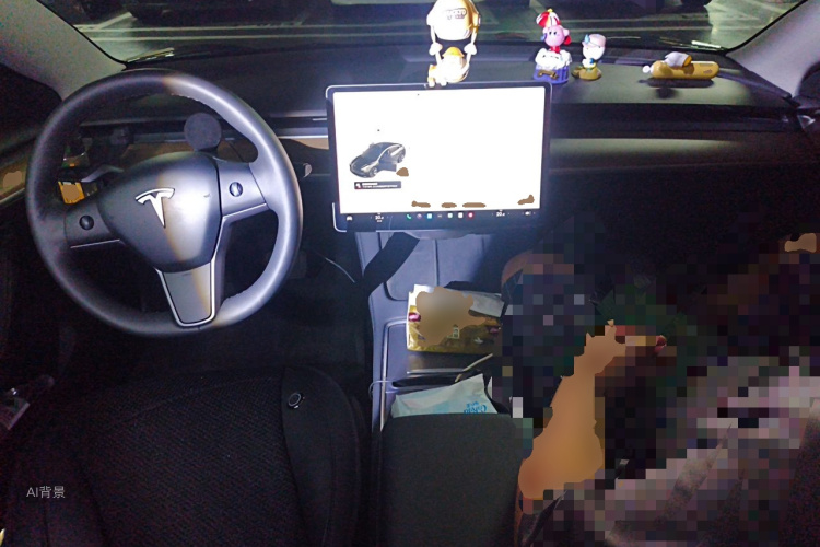 Tesla Model 3 2021 immagine di auto #11
