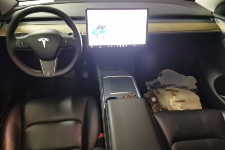 Tesla Model Y 2021 car image #10