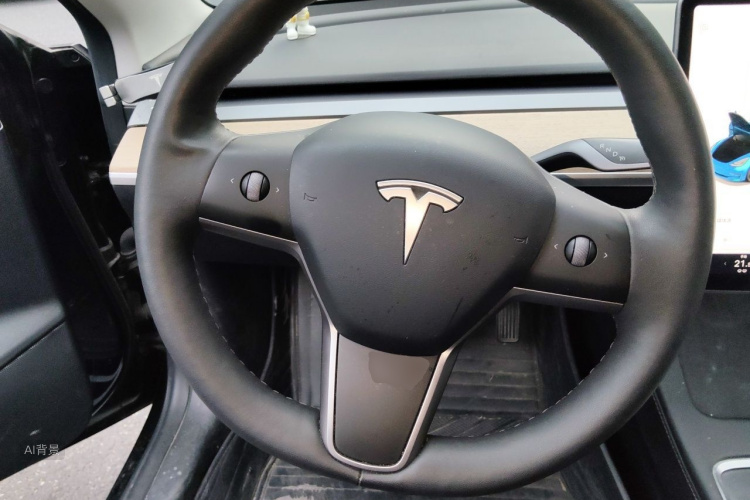 Tesla Model 3 2021 car image #12