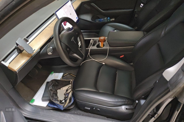 Tesla Model 3 2021 car image #17