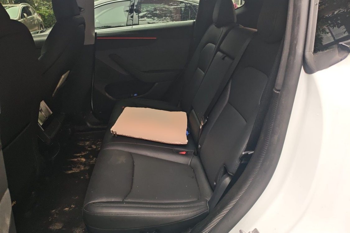 Tesla Model Y 2025 immagine di auto #19
