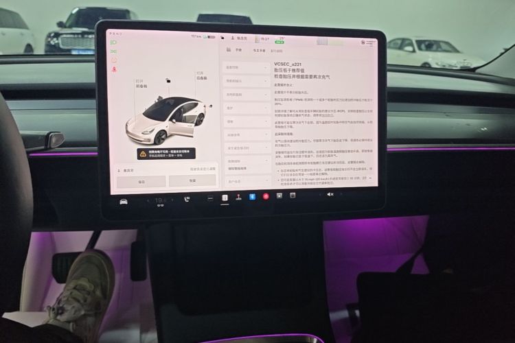 Tesla Model 3 2021 #13 Tesla Model 3 2021 car image #13