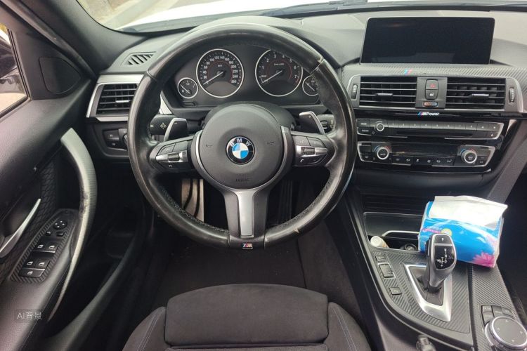 BMW 3 Series 2016 car image #12
