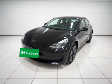 Tesla Model 3 2021 Tesla Model 3 2021 car image