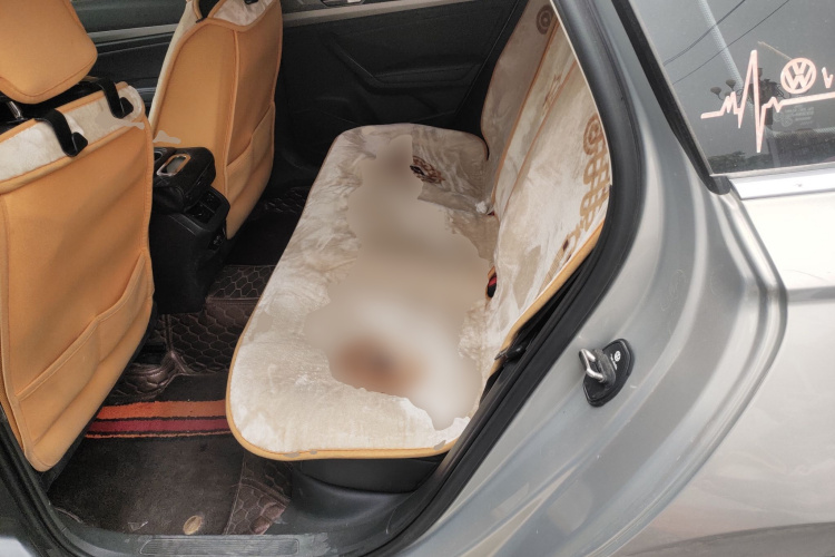 Volkswagen Lavida 2019 car image #17