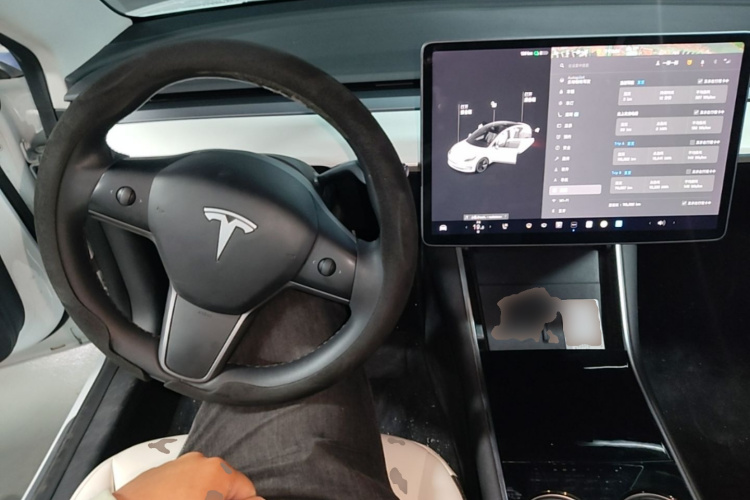 Tesla Model 3 2020 #11 Tesla Model 3 2020 car image #11