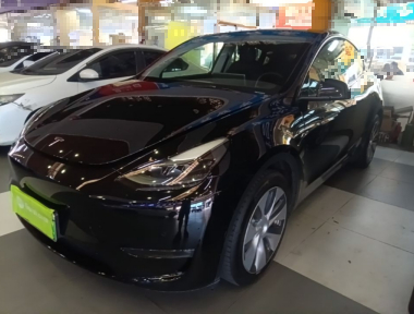 Tesla Model Y 2021 car image 